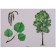 GEF. The world in pictures. Trees and leaves. Minisheva T.