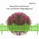 Decorative fence, 30 × 300 cm, 5 sections, plastic, salad, Greengo