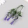 Artificial plant for creativity "Hippeastium" set 6 pcs Violet 11.5 cm