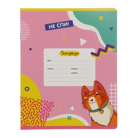 Notebook 18 sheets in the "Girls" line, cover coated cardboard, offset unit, mix-5
