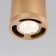 Lamp ceiling Elektrostandard, Lead LED 9 W, 60x60x120 mm, IP20, Color gold