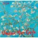 Vincent Van Gogh. Wall calendar for 2024, 17x17 cm