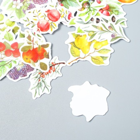 Stickers for creativity "Fruit Garden" set of 50 pcs 4.5x6.5x1.1 cm-2
