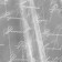 Flower Flower Flower Packing Glossy "Wishes", 1 x 5.2 m