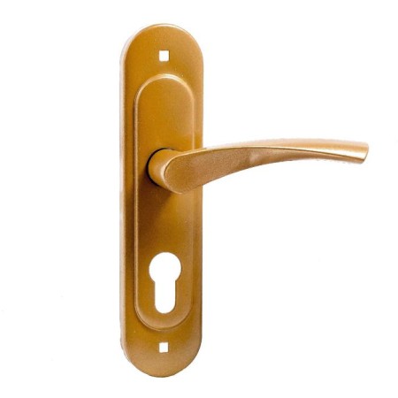Handles on the bar "Ptimash" 0623, m/o 55 to ZV4-3.07, color gold