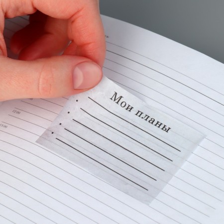 Stickers for the diary "Plans", tracing paper, 13 x 18 cm-2