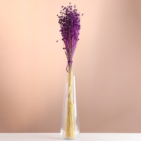 Set of dried flowers "Lenon-long-tuned", banch length 55-60 (+/- 6 cm), purple