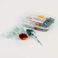 Set of dried flowers 