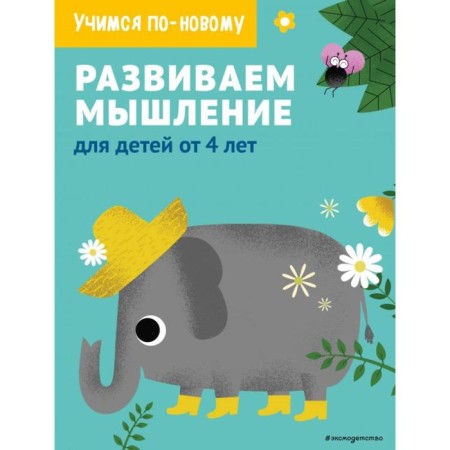 We develop thinking: for children from 4 years old
