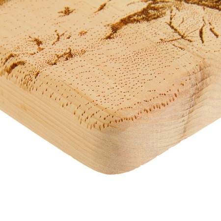Board from the massif “Lynx in the Snow”, square, 18 × 18 cm-2