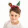 Carnival rim "New Year's mood"