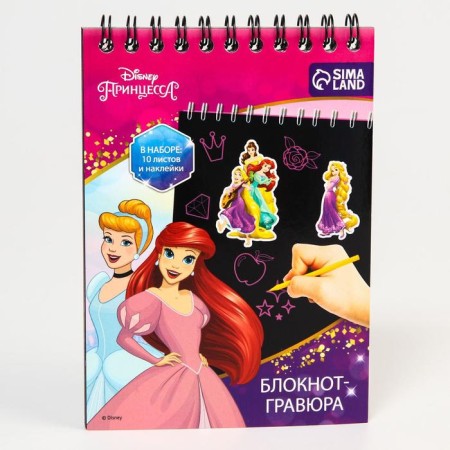 Notebook-gravel, 10 sheets, sheet of stickers, Stiekhel, A6 format "Princess"-4