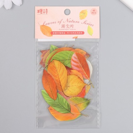 Stickers for creativity plastic "Autumn leaves" set 40 pcs 0.3x8x14.8 cm-3