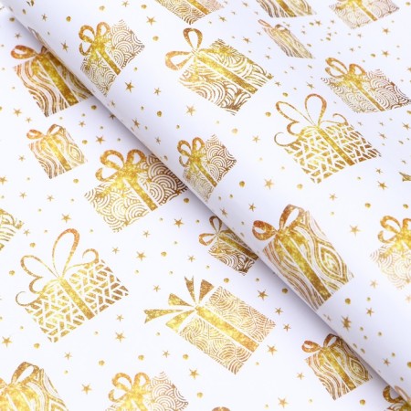 Paper Glossy "Gifts", 0.49 x 0.7 m-1