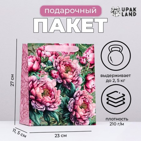 Packet laminated vertical "Peion's tenderness", 23 x 27 x 11.5 cm