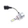 DLED HIR2 LED lamp 9012, PX22D, C6 Original, 12V, 6500K, in a set 2 pcs
