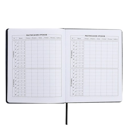 School diary for grades 1-11, "Rage of Katana", hard cover, artificial leather, lies, universal cheat sheets, 48 ​​sheets, block 80g/m2-6