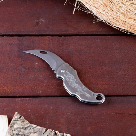 Knierambit "Dragon" 14.5cm, blade 65mm/2mm, silver