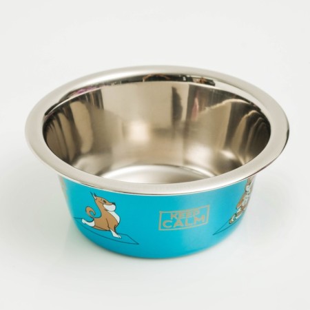 Standard Pijon. Yoga Dog, 450 ml, blue