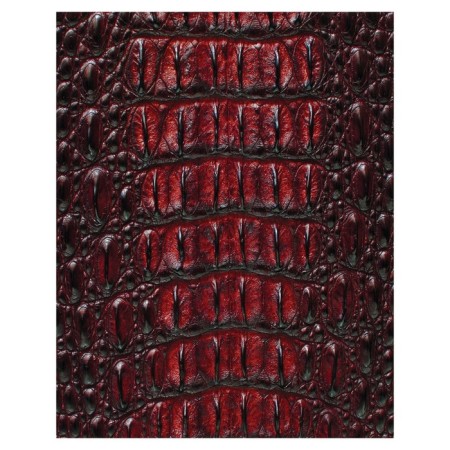 Pillow Bellard “Dangerous Alligator, Decorative, size 16x45 cm-1