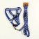 Set "braid", fluorescent, leash 115 x 1 cm, og 32-48 x 1.5 cm, blue