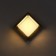 Facade lamp "City", FSD-054, 10 W, 3000K, square, IP65, 220 V, plastic, black