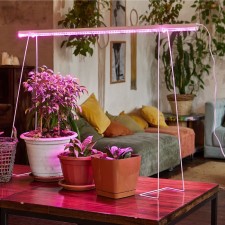 Lamp for plants LED linear, 1150 mm Uniel, 35 W, BIO LED, IP40, white color