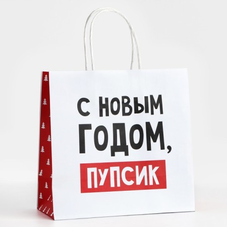Gift package "Happy New Year, Pupsik", 22 x 22 x 11 cm, new year-1