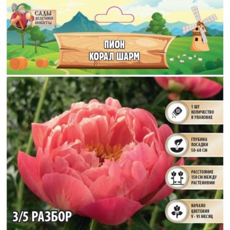 Pion "Coral Charm", rr 3/5, 1 pc,-1