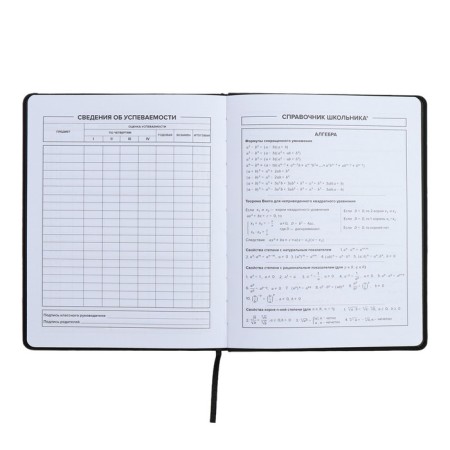 Universal Diary Grade 1-11, 48 sheets "Girl", hard cover of artificial leather, lies, universal cheat sheet, block 80 g/m2-7