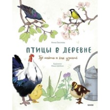 Birds in the village. Where to find and how to find out. Evseeva A.
