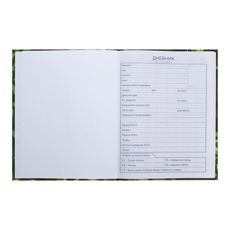 Universal diary for grades 1-11 "camouflage", solid cover, glossy lamination, 40 sheets-4