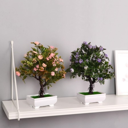Bonsai in the pot "Charm" 10x22 cm, mix-2