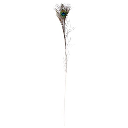 Feather Pavlin for decor, size - from 90 to 100 cm-7