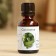 Essential oil "Sosna" 25 ml, a bottle-boarding house, abstract