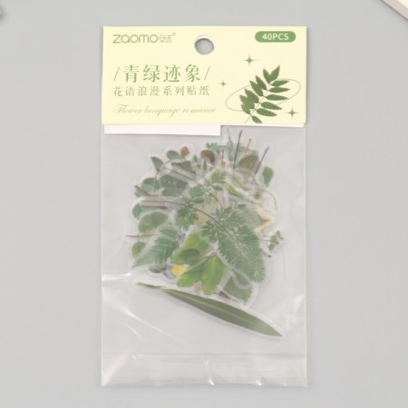 Stickers Plastic "Summer Green Leaves" set 40 pcs 15x8 cm-4
