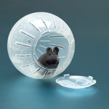 A ball for rodents 10 cm, transparent-2