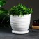 Flower "Tenderness" Pot is white 4.7 liters