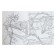 Animal coloring