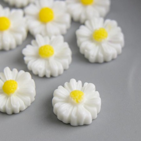 Caboshon "Chamomile" 11 mm-1