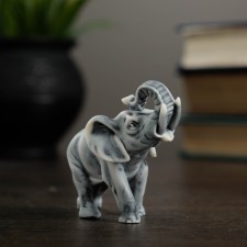 Souvenir 
