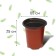 Pot for seedlings, 400 ml, D = 9.6, h = 8.5 cm, Greengo