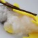 Set for creativity: soft toy made of felt "lion"