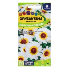 Chrysanthemum seeds 