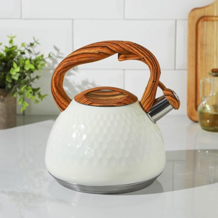 A kettle with a stainless steel whistle Magistro Heat, 3 L, TRS, Induction, Soft-Touch pen, white color-6