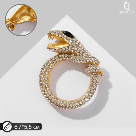 Brooch "Snake" with a ring, the color is black and white in matte gold