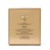 Women's toilet water Women Trillion, 100 ml