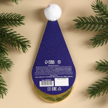 Chocolate medal in the “Miracle” cap, 25 g.-2