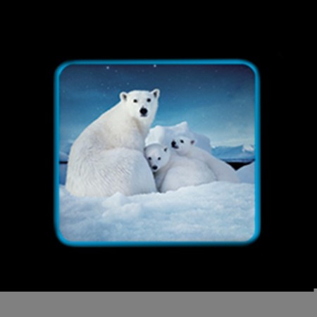 Projector "Sea World" with slides-4