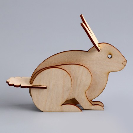 3D puzzle "Young genius: collect a rabbit"-1